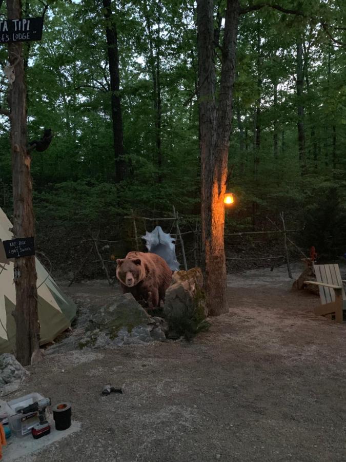 Bed and Breakfast Fox Pass Cabins Хот-Спрингс Экстерьер фото