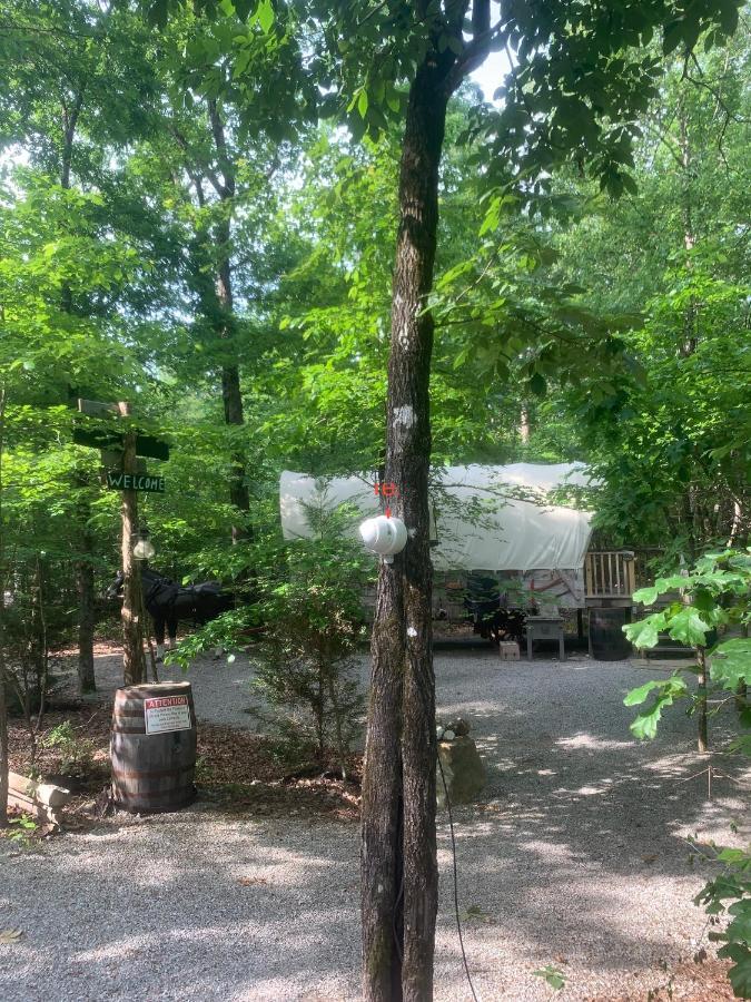 Bed and Breakfast Fox Pass Cabins Хот-Спрингс Экстерьер фото