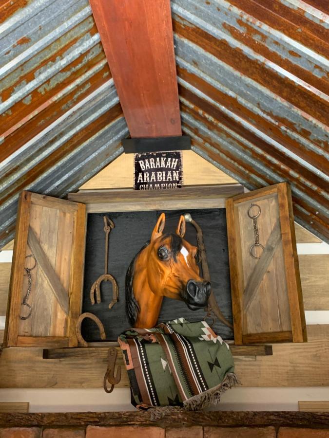 Bed and Breakfast Fox Pass Cabins Хот-Спрингс Экстерьер фото