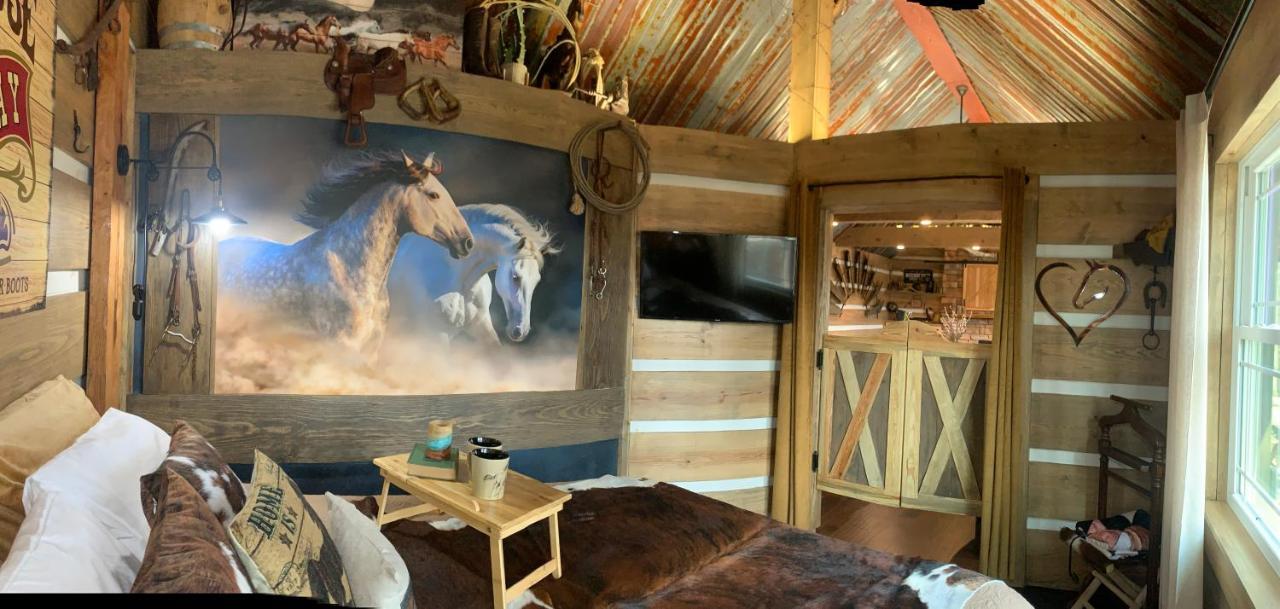 Bed and Breakfast Fox Pass Cabins Хот-Спрингс Экстерьер фото